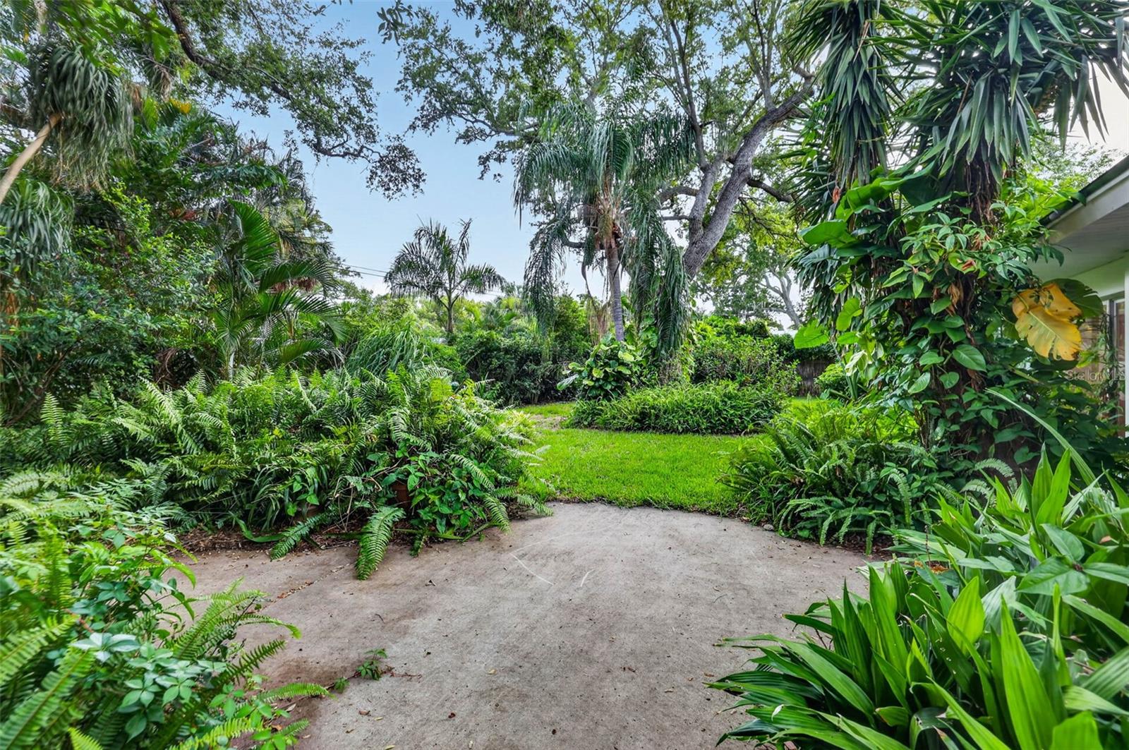 Mature Landscaping