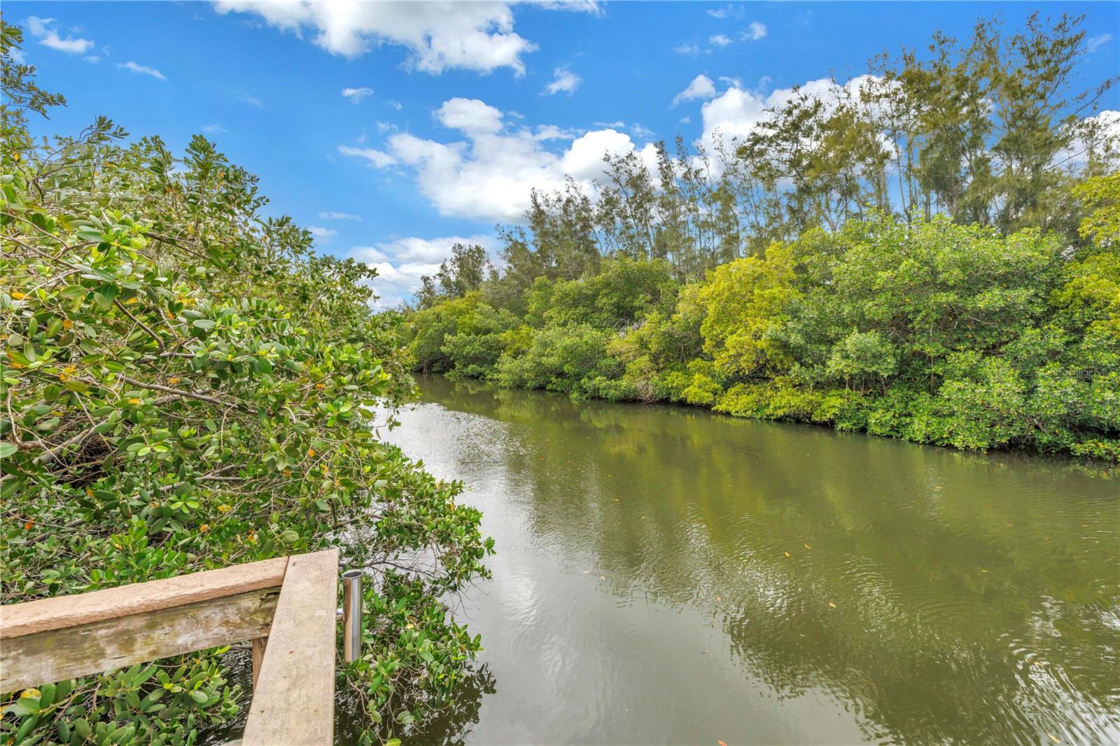 Canal from Private Boat Ramp to Riviera Bay, then Tampa Bay, then the Gulf!!