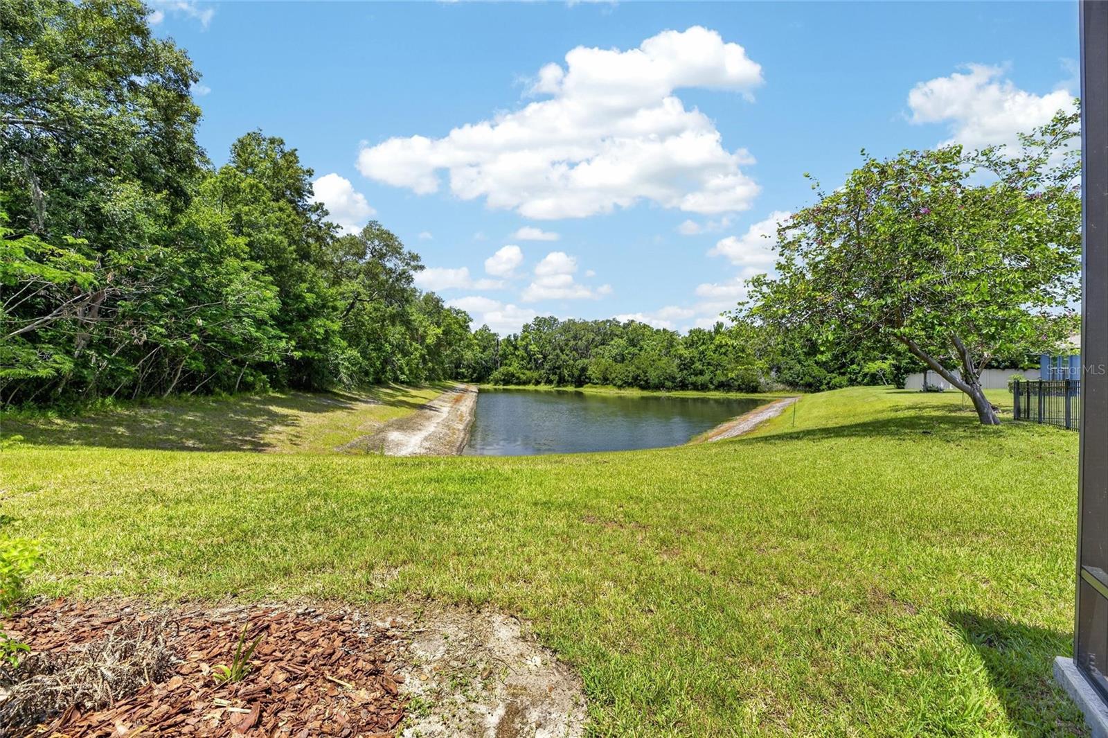 Pond