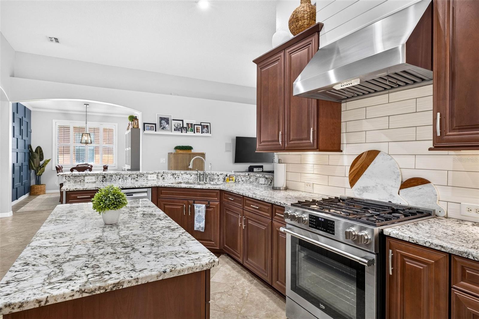 Gas Range & Range Hood
