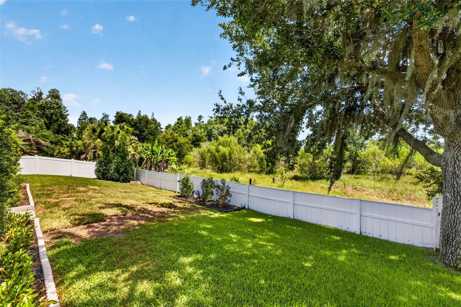 Yard Backing to Greenspace