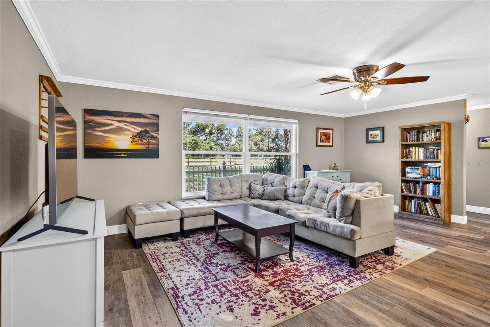 Large Living Room with abundant natural light