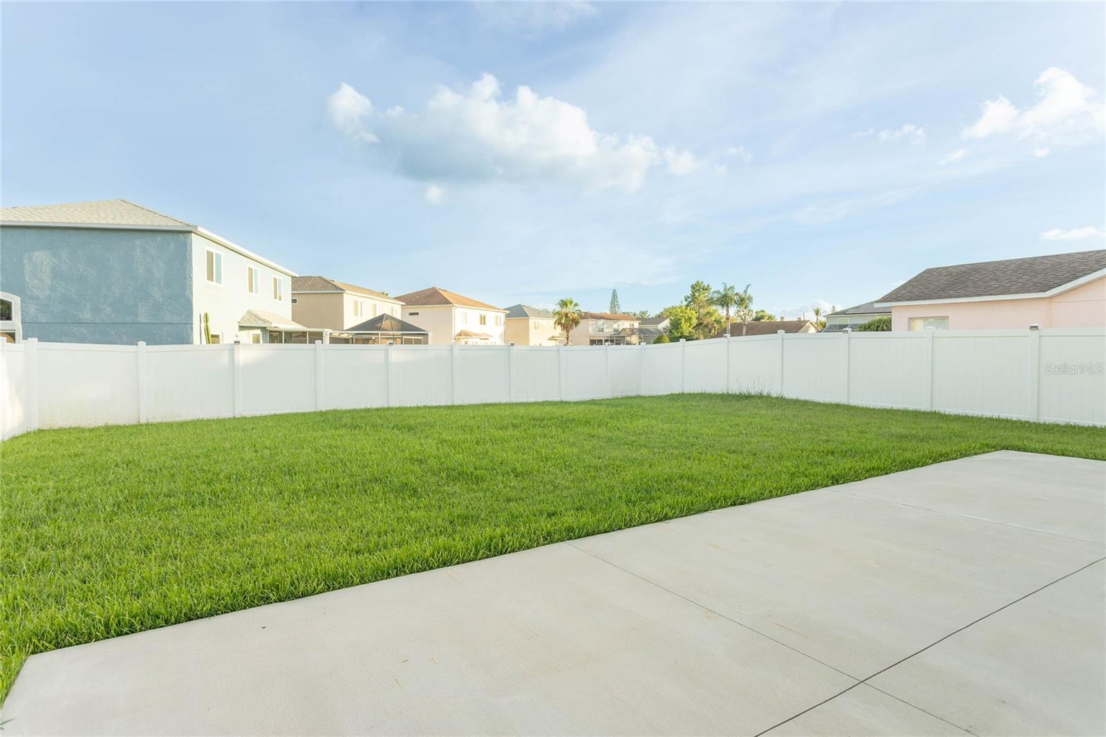 Back Yard