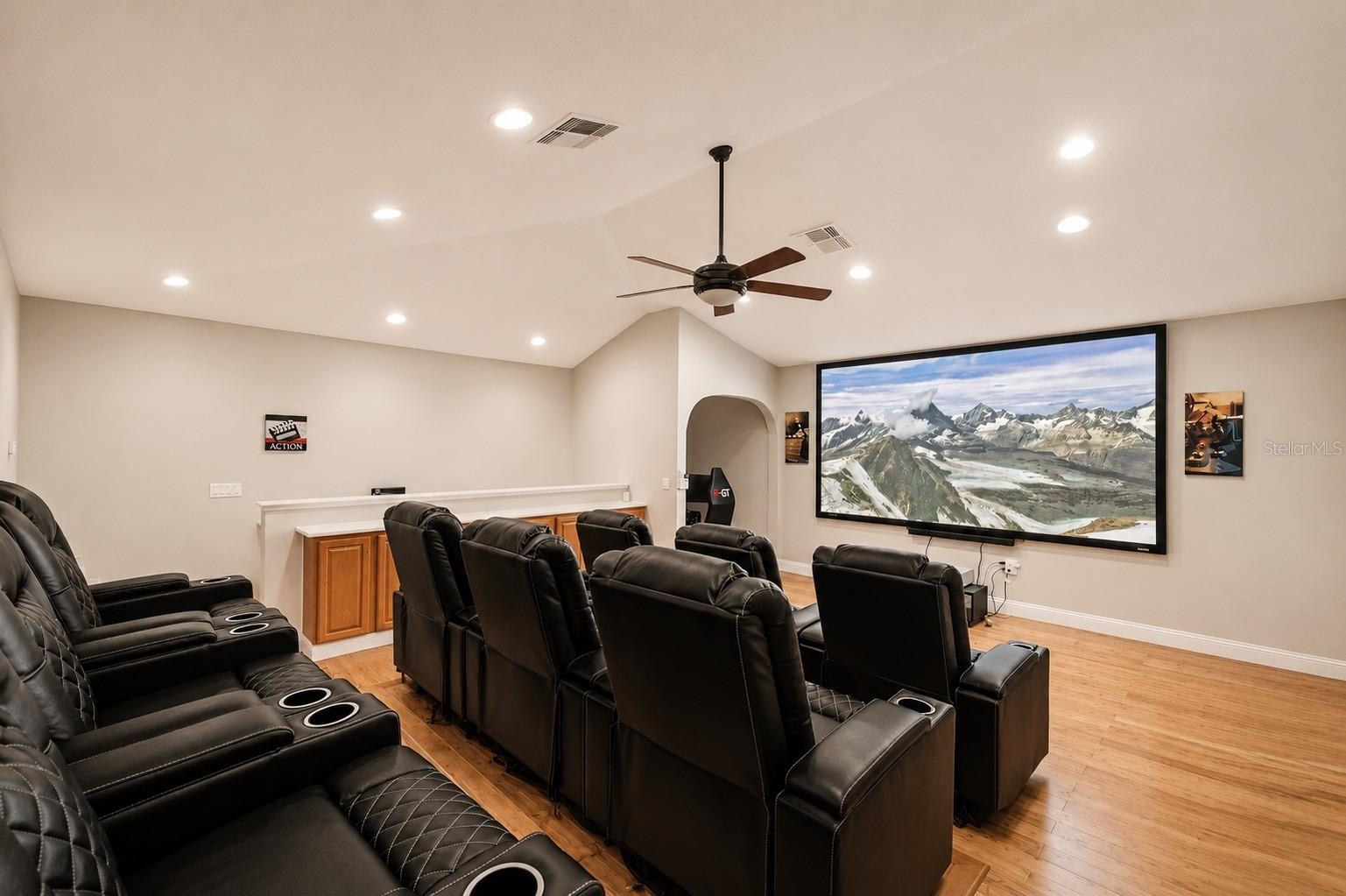 theater room/ flex space