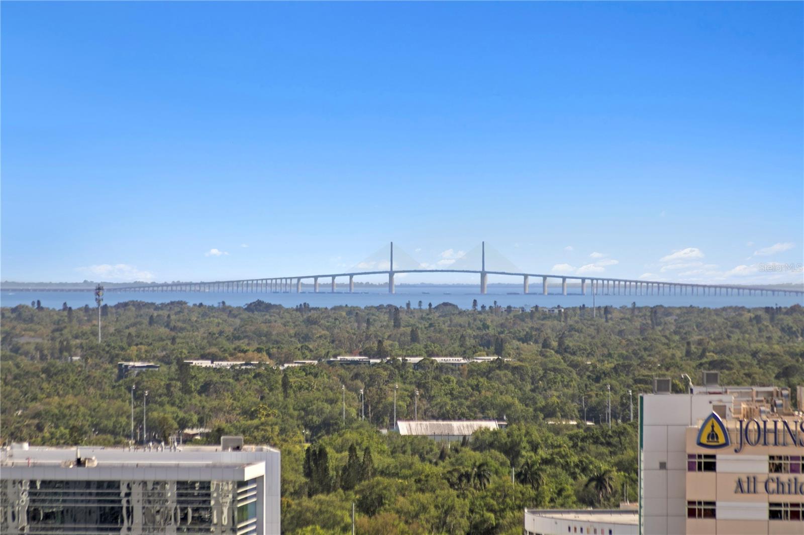 Skyway Bridge.