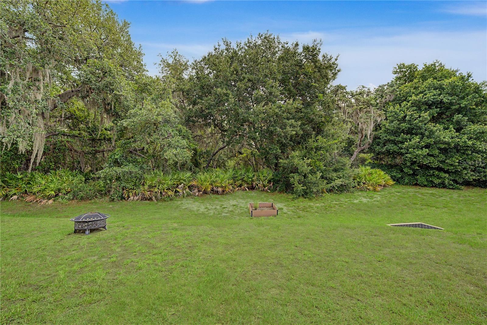 Backyard view