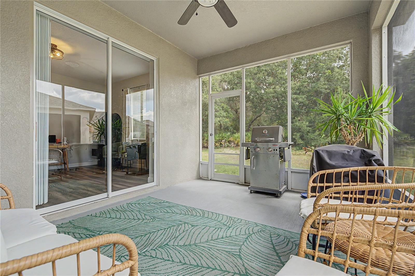 Screened lanai overlooking backyard