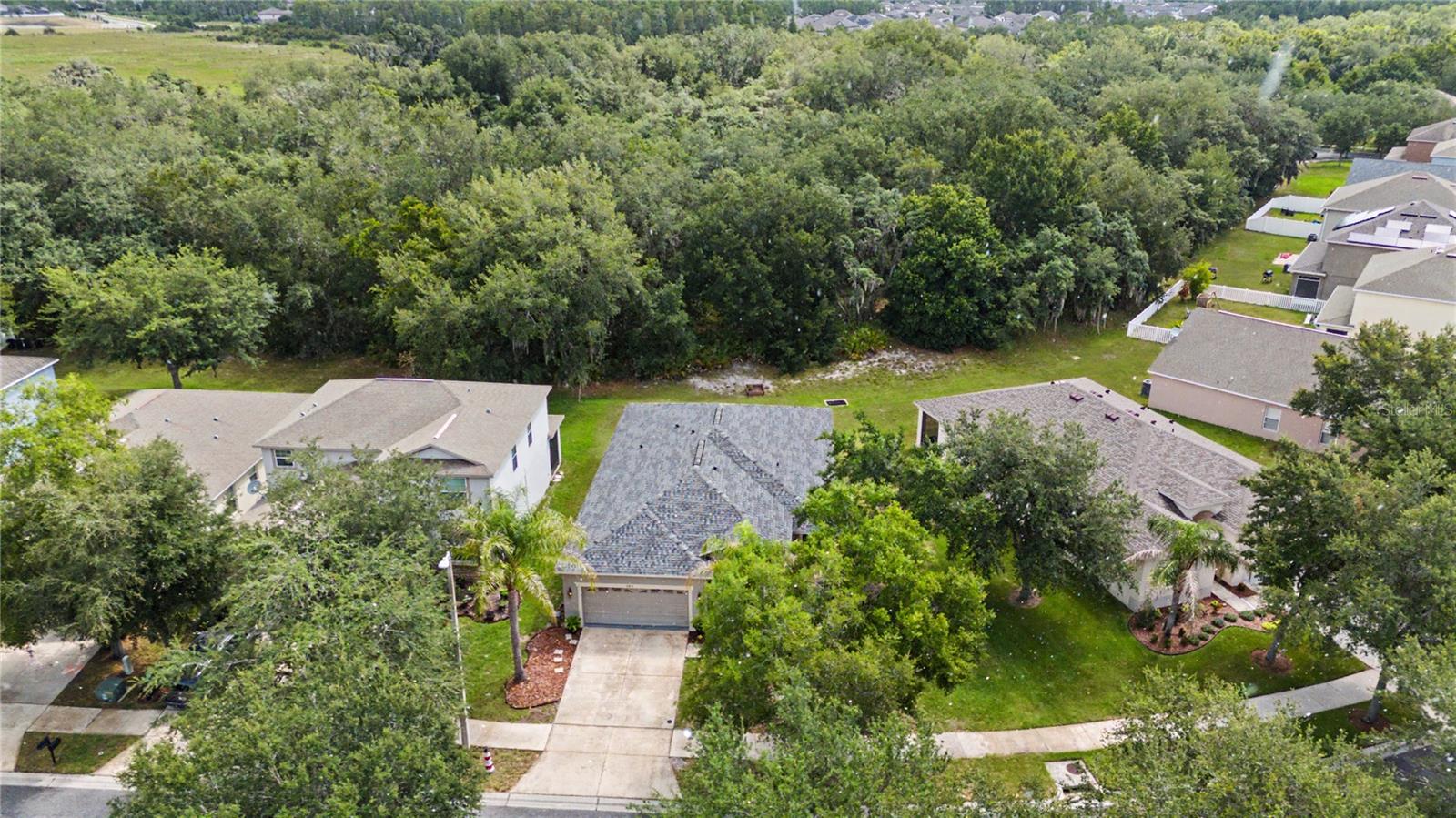 Side and backyard with greenscape views