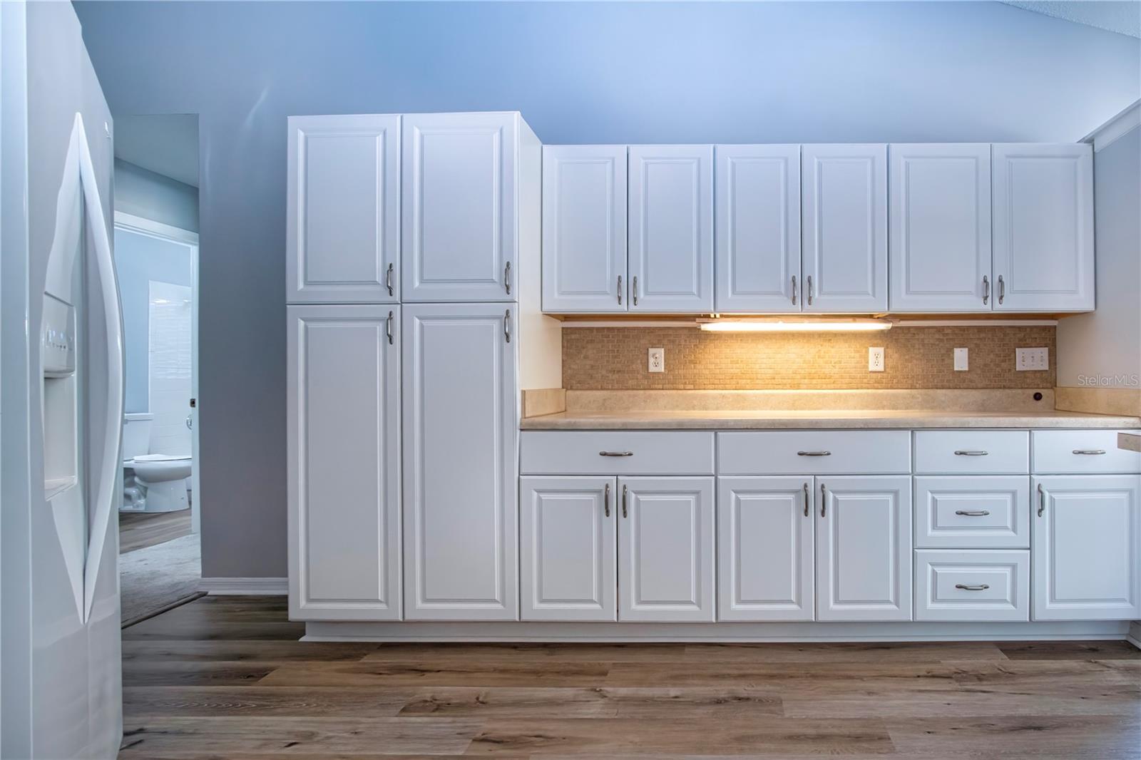 Lots of storage cabinets in Kitchen