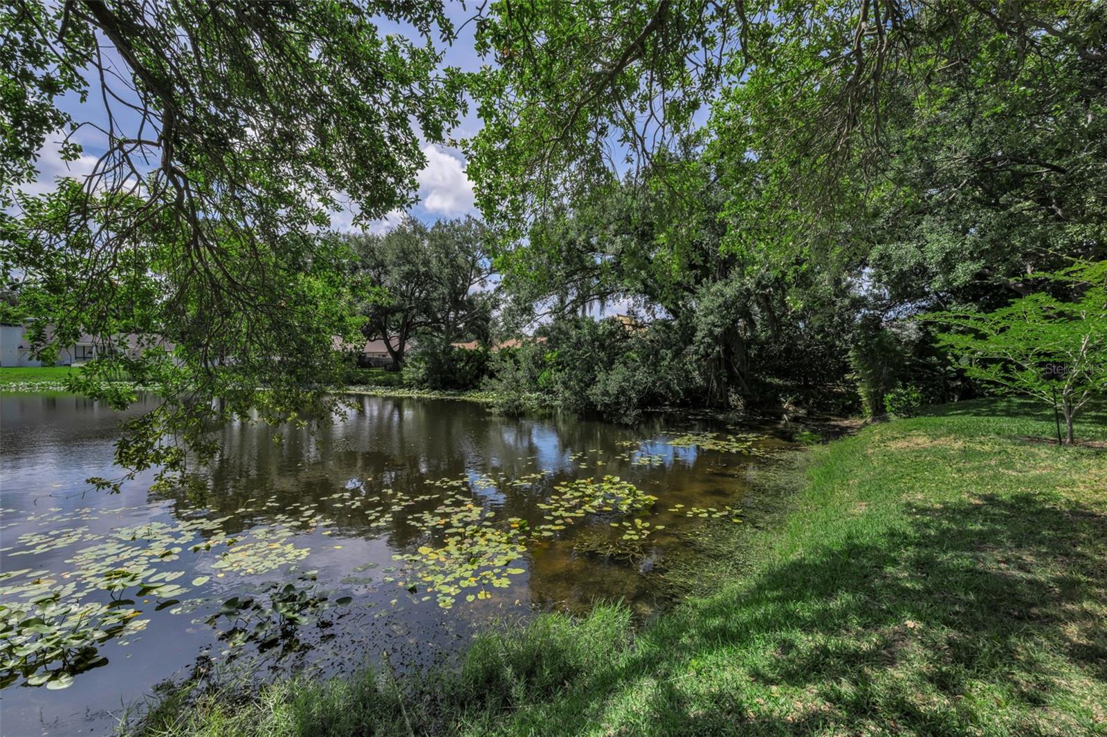 The beautiful pond... viewed from the comfort of your screened patio.