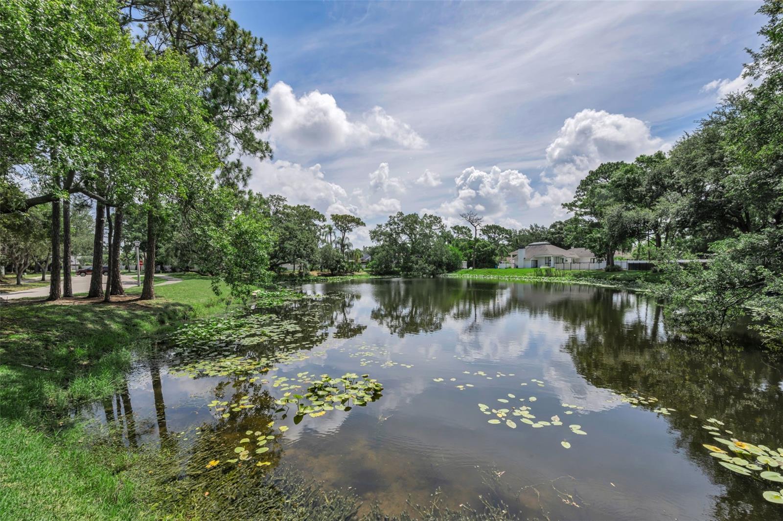 The serene pond adjacent to the villa and a few choice neighbors. Bardmoor North is such a lovely mid county location!