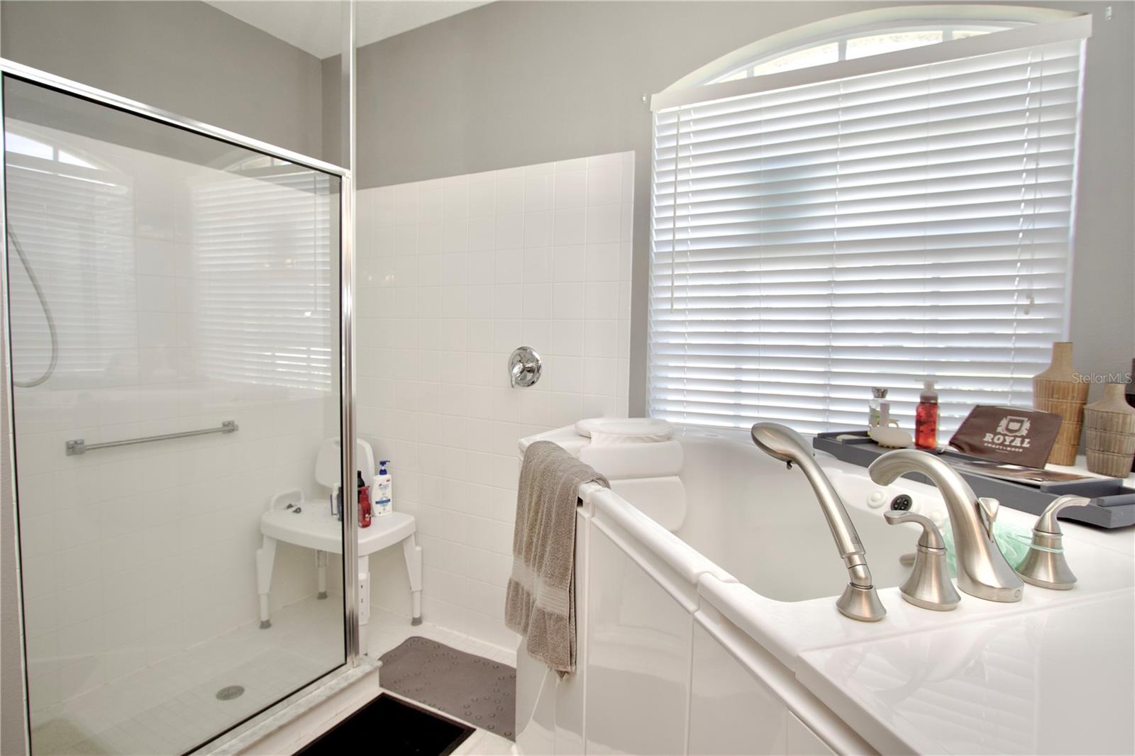Walk-In Tub & Walk-In Shower