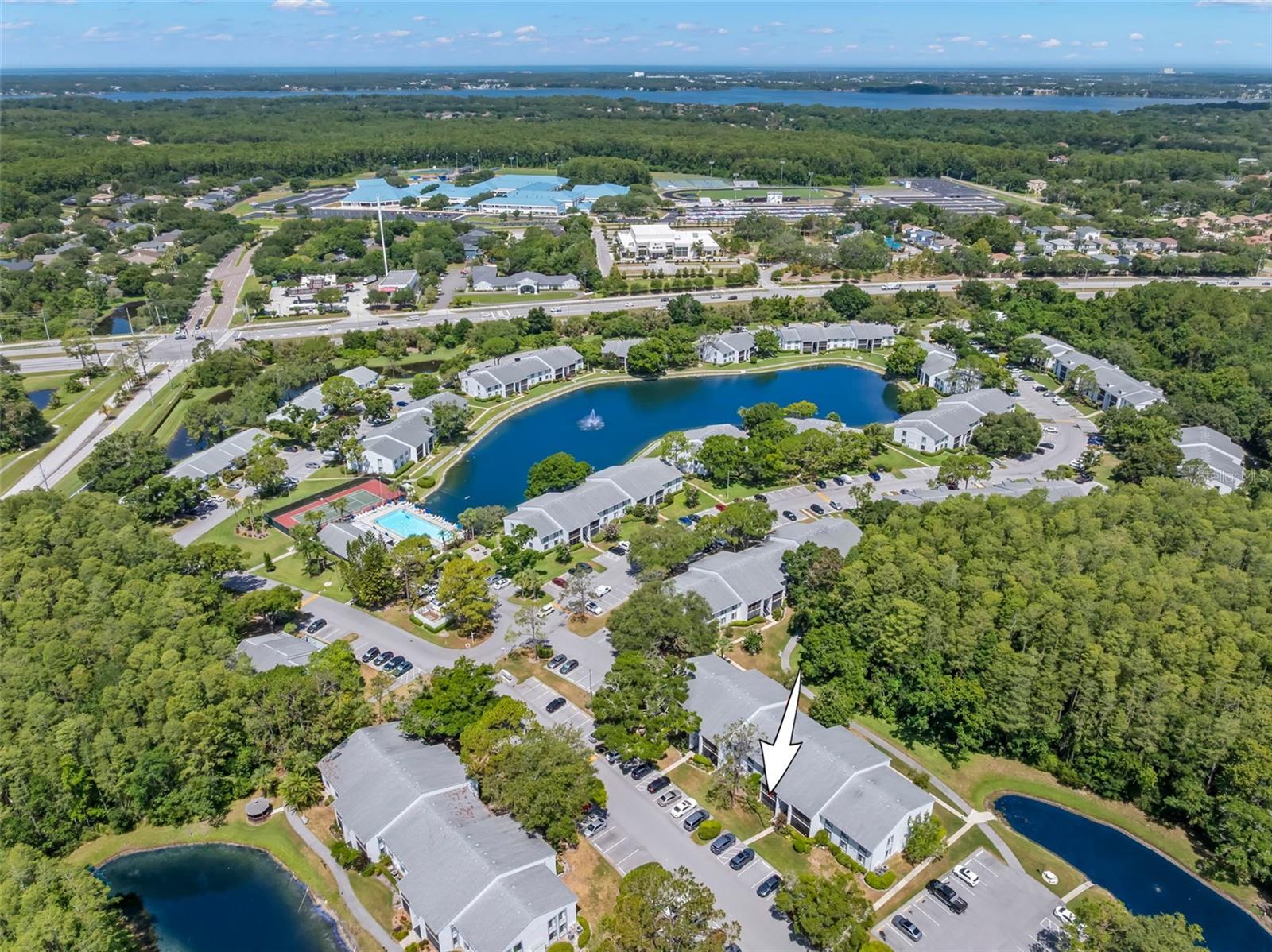 TB8521599