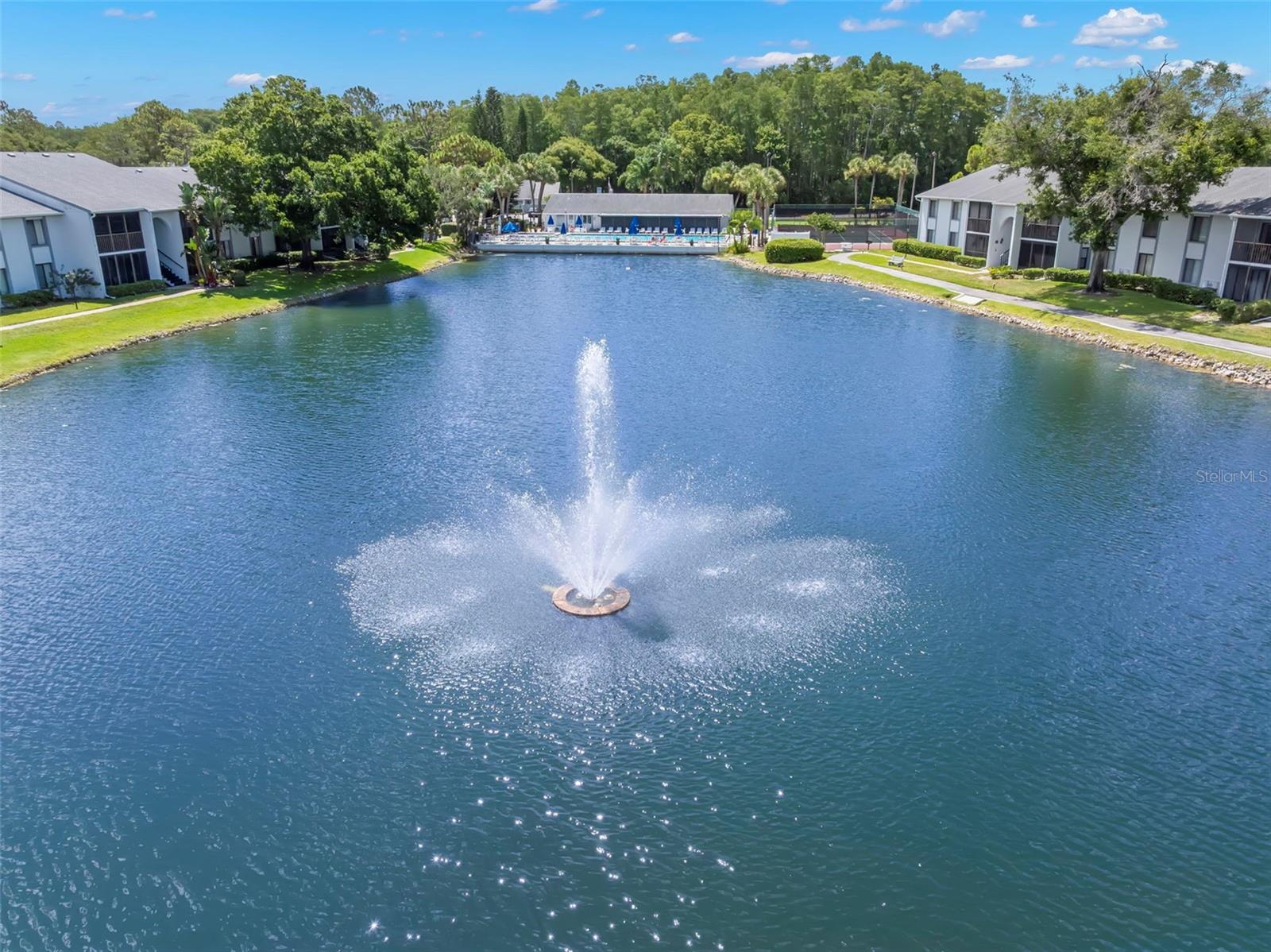 The community lake and fountain create a picturesque setting surrounded by walking paths and mature landscaping.