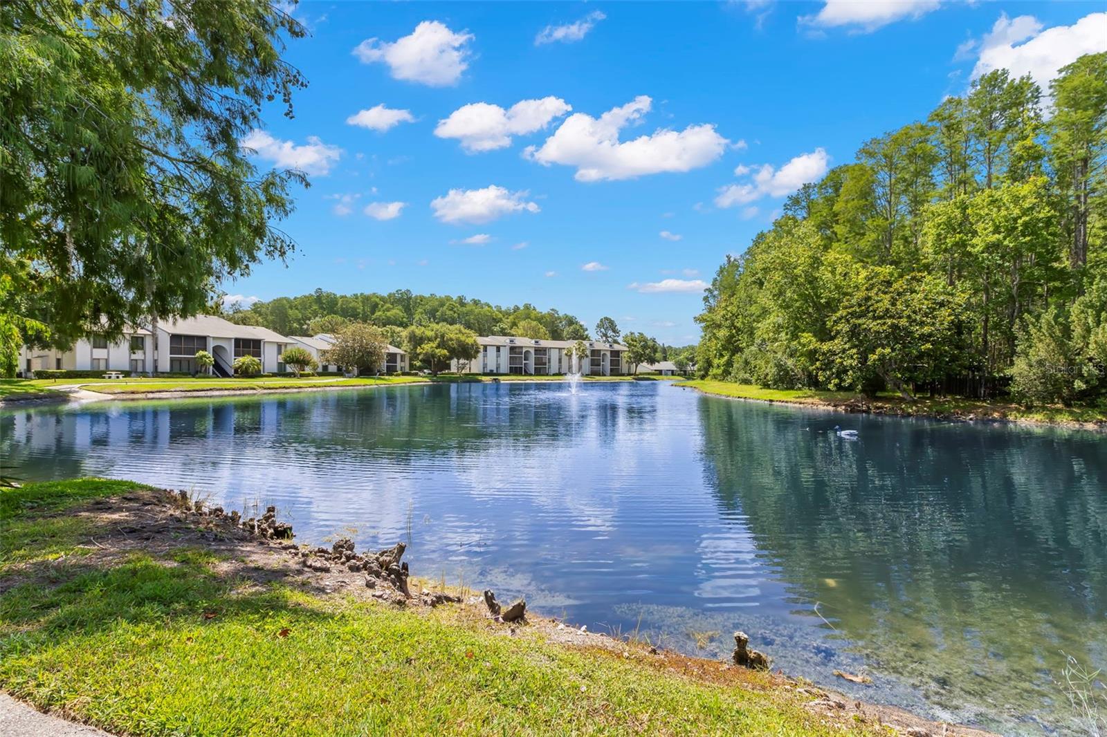 Mature trees, tranquil lake views, and lush landscaping create a peaceful natural setting throughout the community.