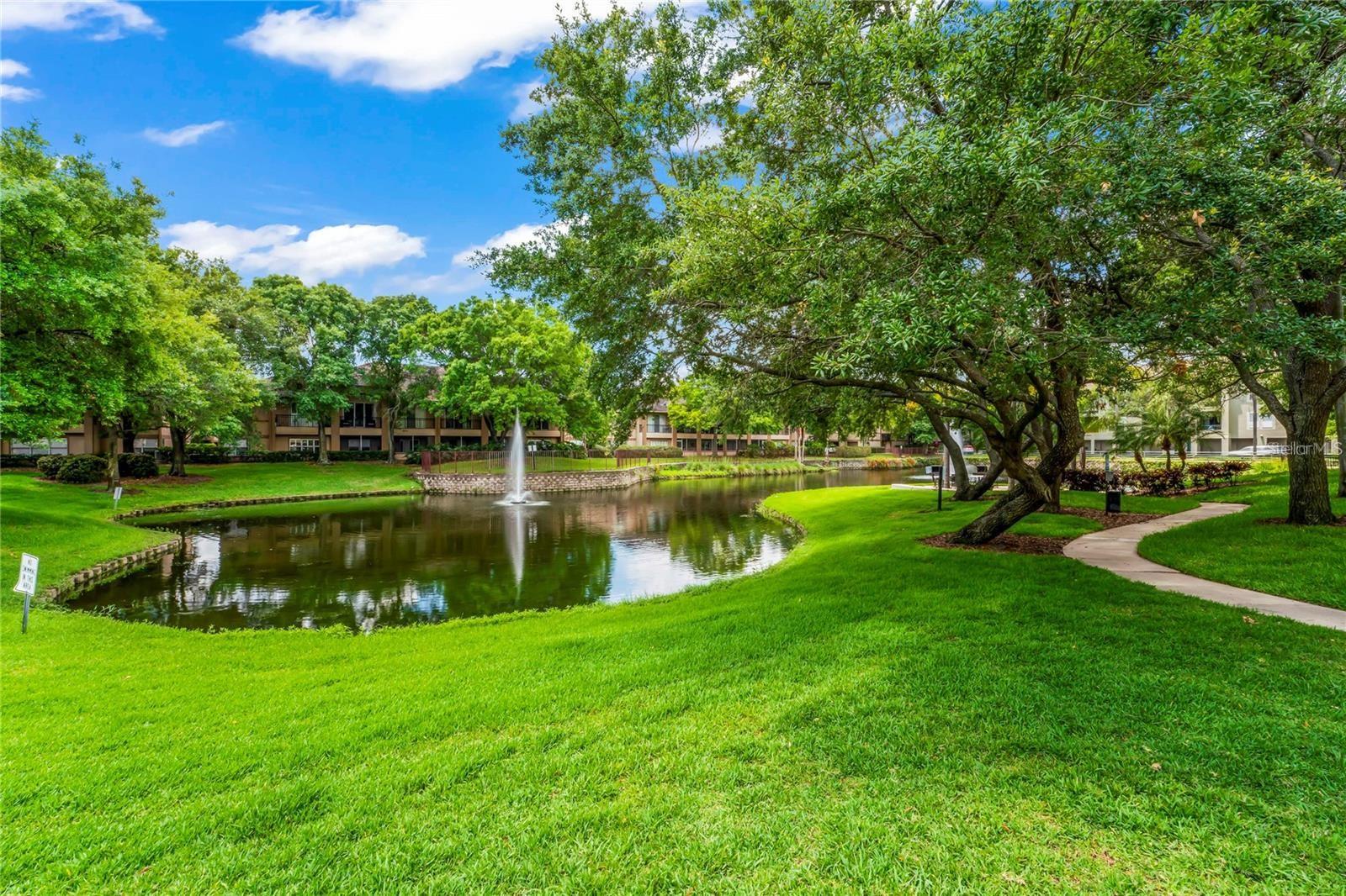 Pond View