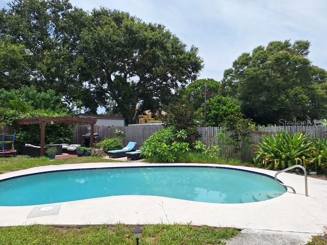 Pool/Back Yard