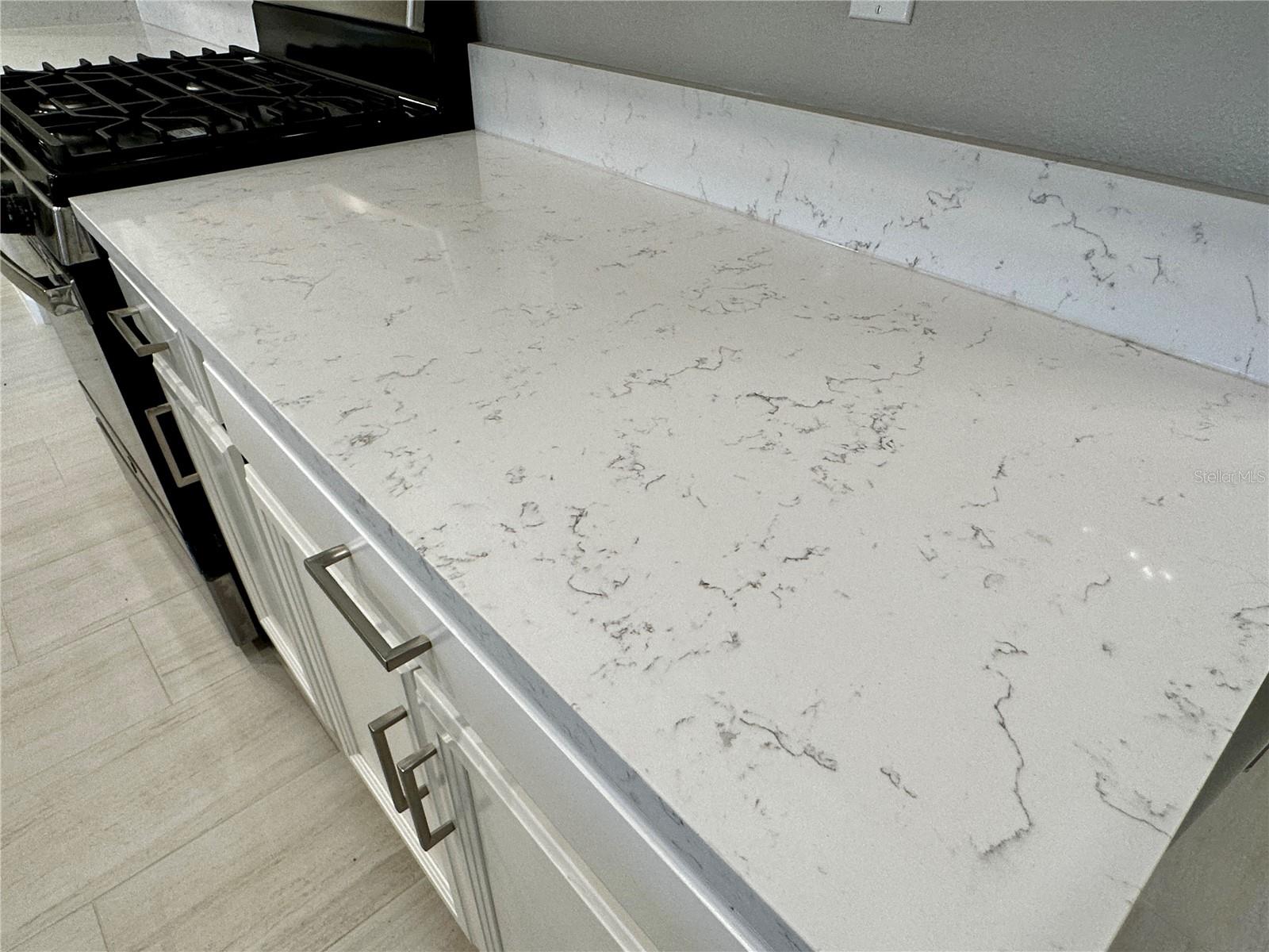 quartz counter top surfaces throughout the house
