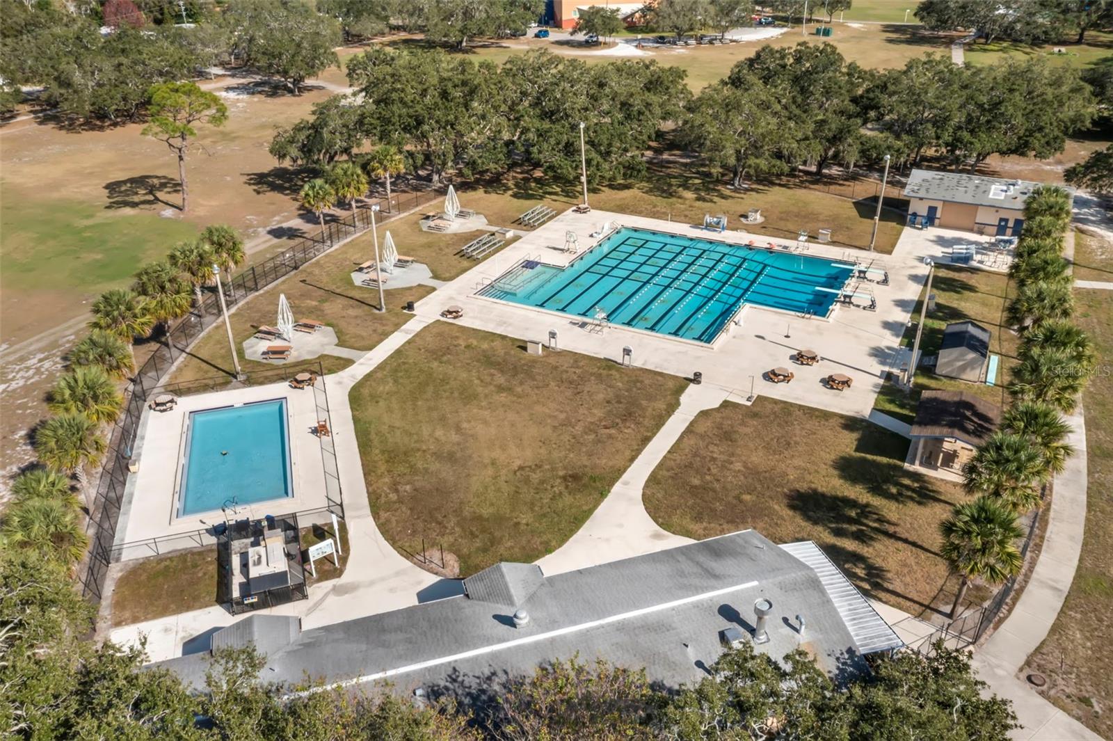 Highlander pool in Dunedin