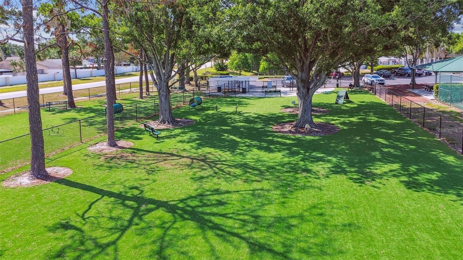 Dog Park