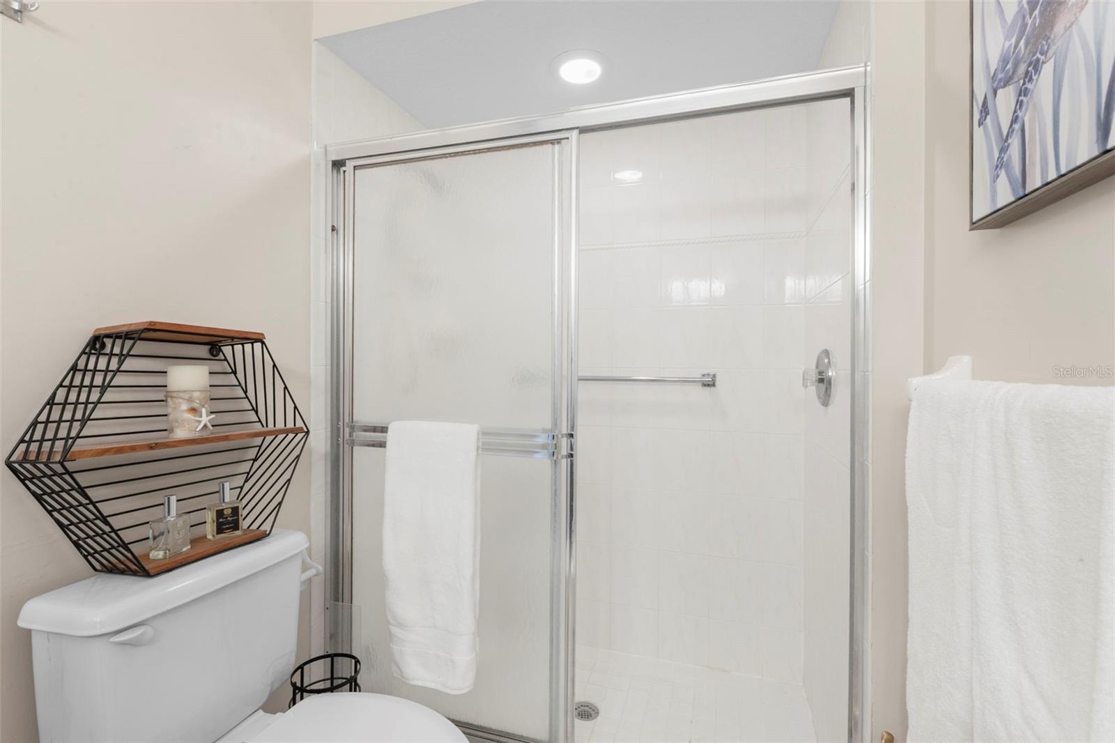 Second bath step-in shower