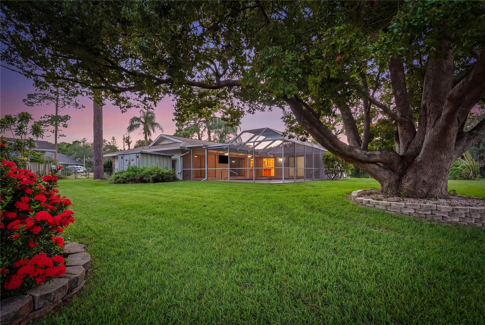 Back of Home / Yard
