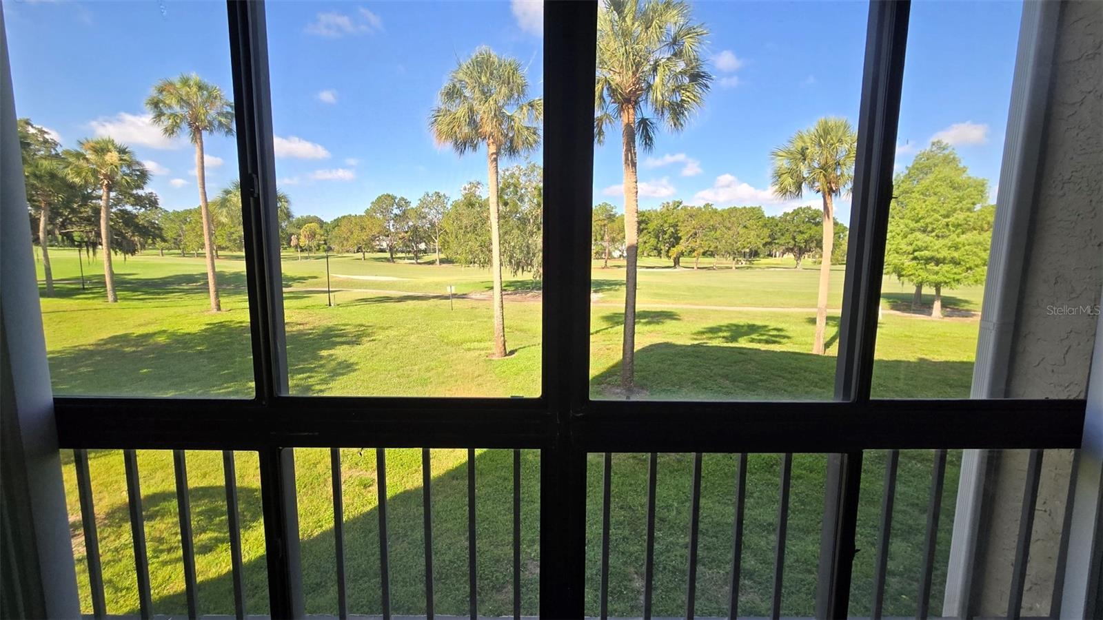 View from Livingroom