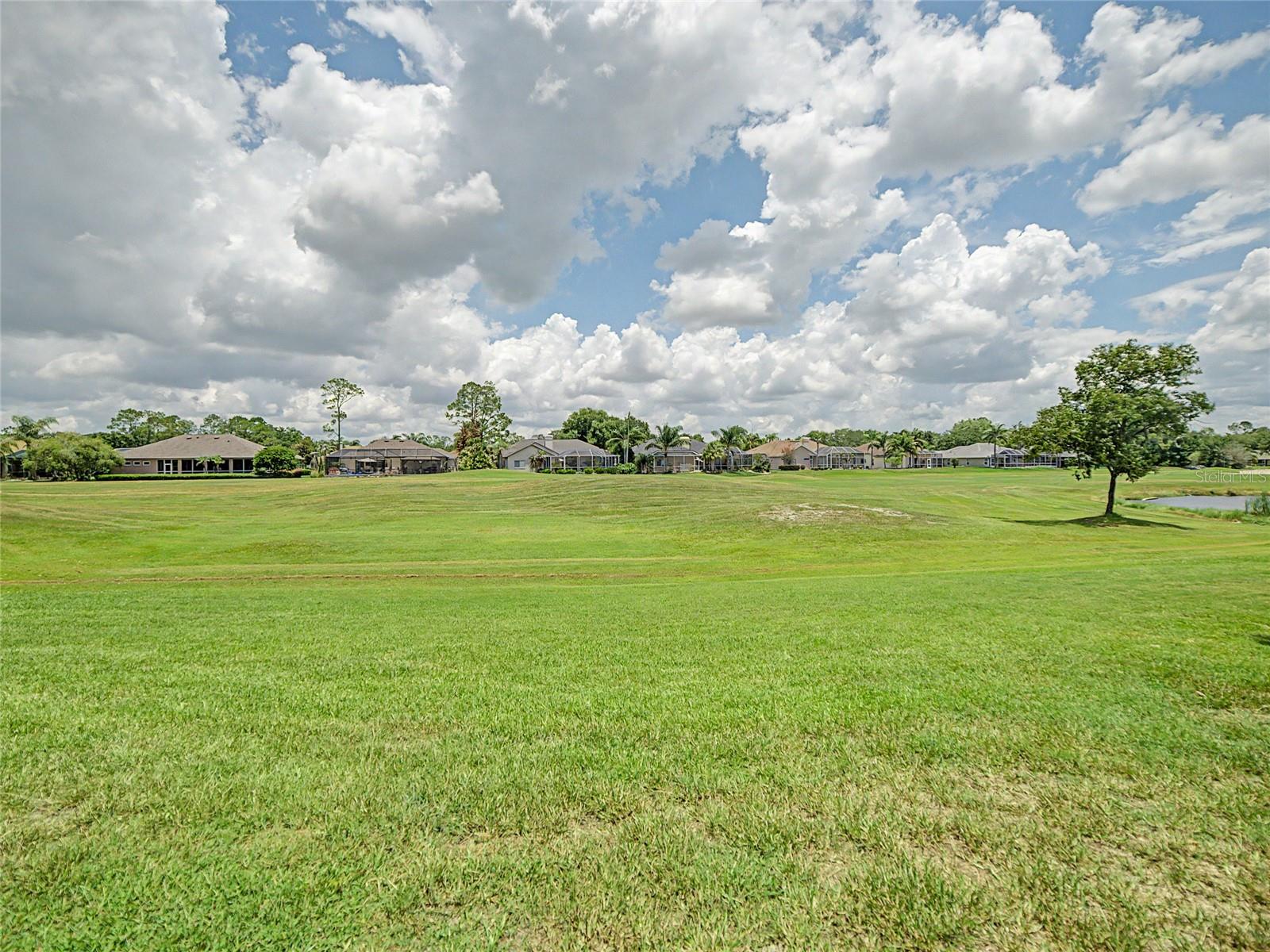 fairway