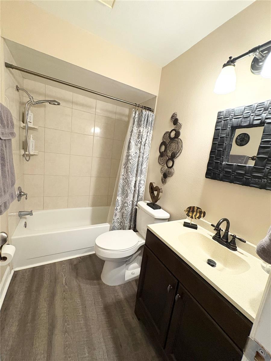 Guest bathroom