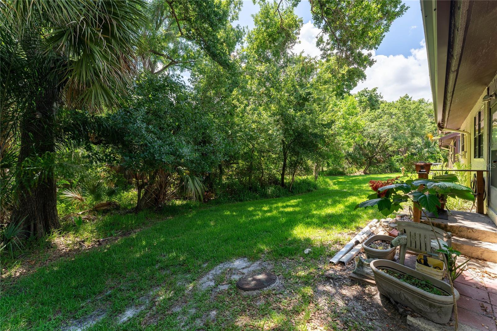 Back Yard