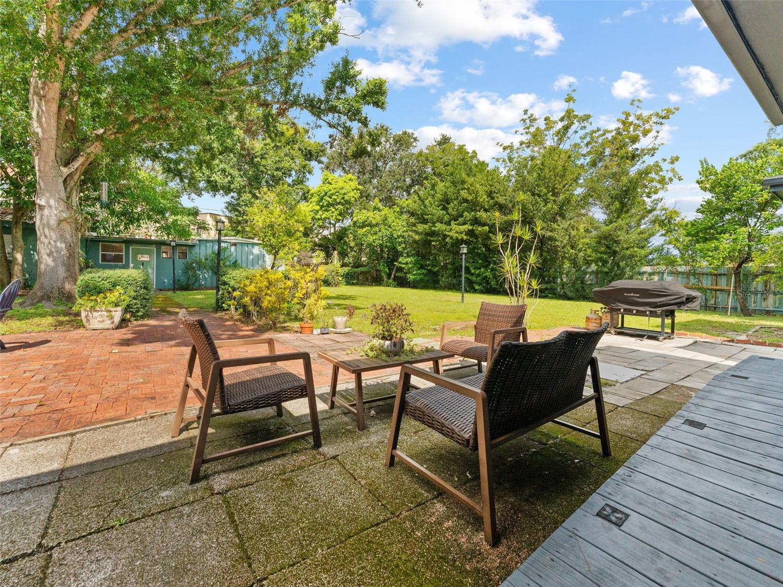 Back Yard