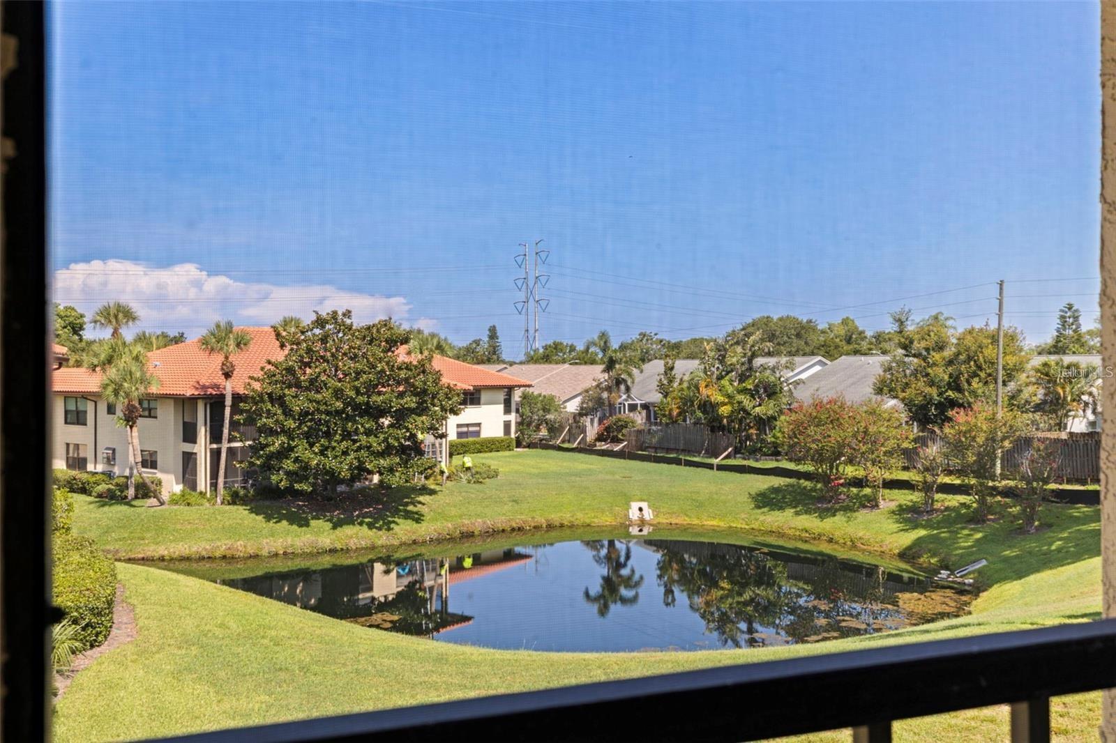 View from living room