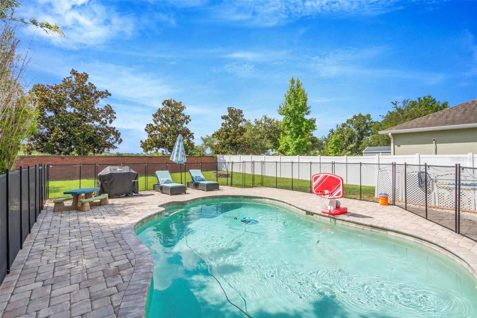 Pool/Yard