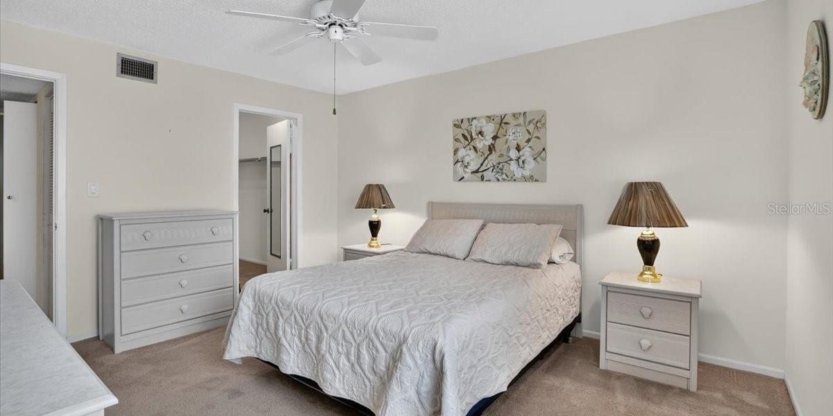 Another view of primary bedroom with eoor to large walk-in closet to the left of bed.