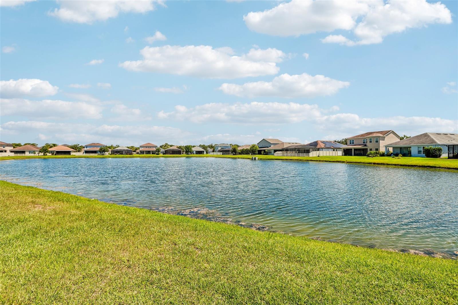 View of pond