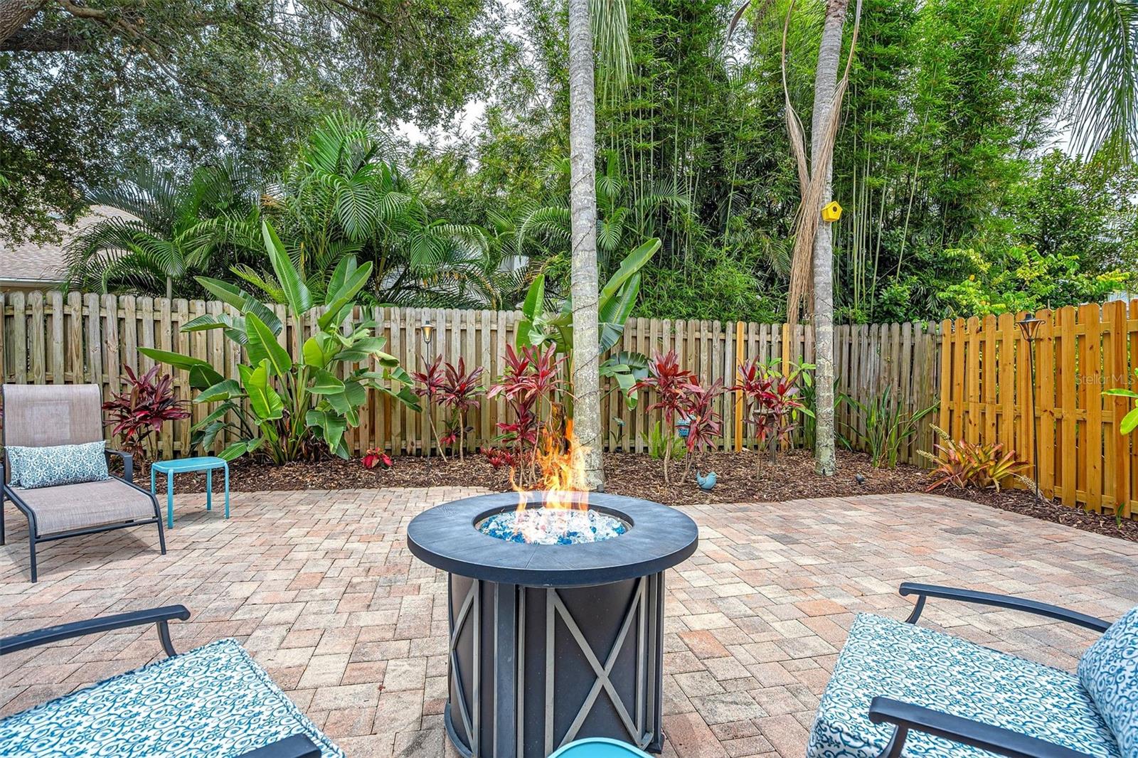 Fenced Backyard