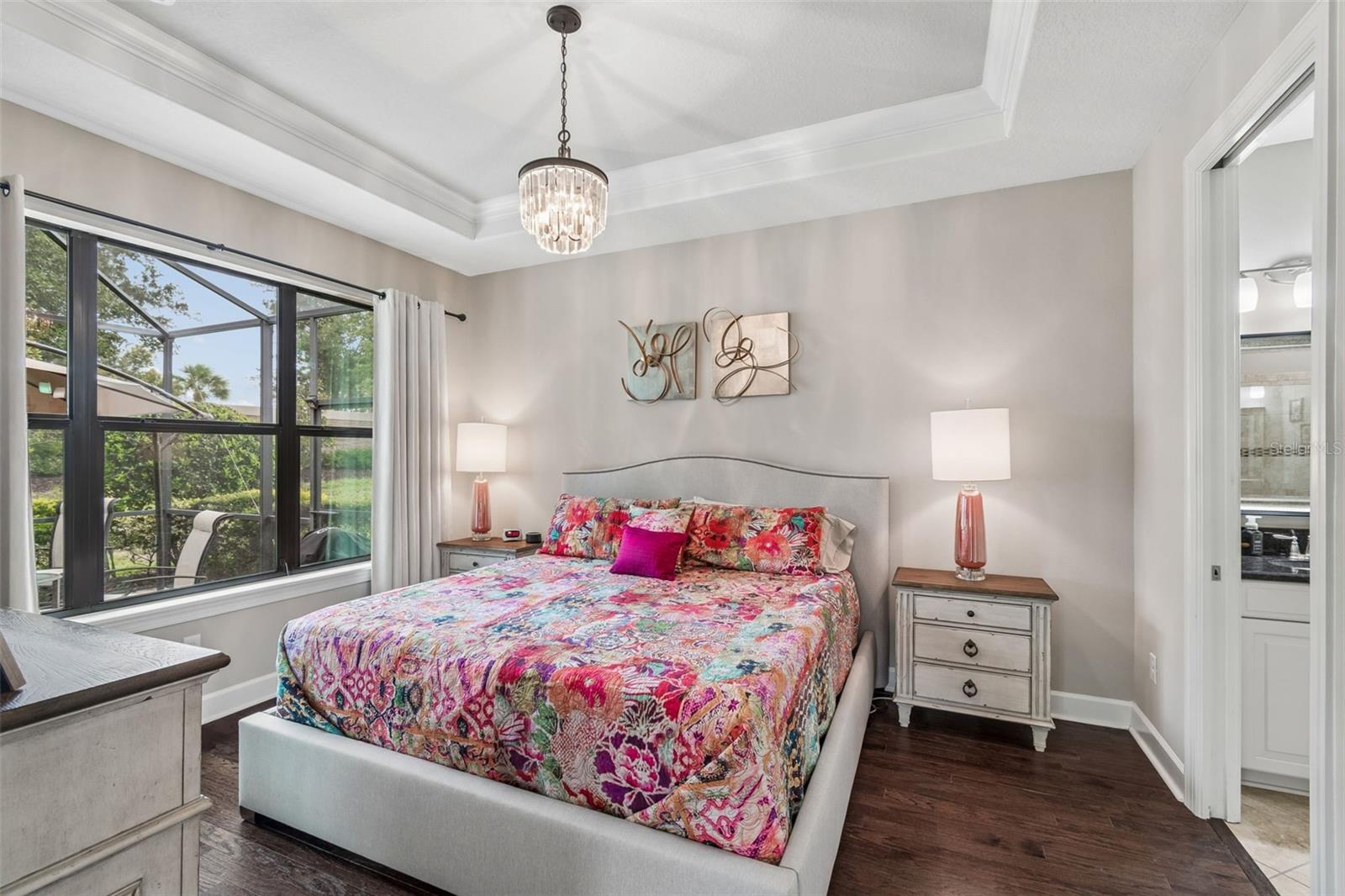 Primary retreat, tray ceiling