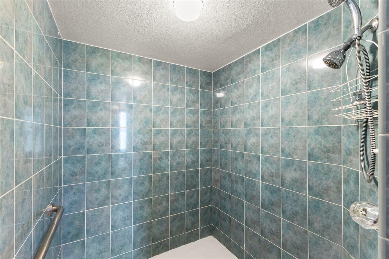 Primary ensuite step-in shower
