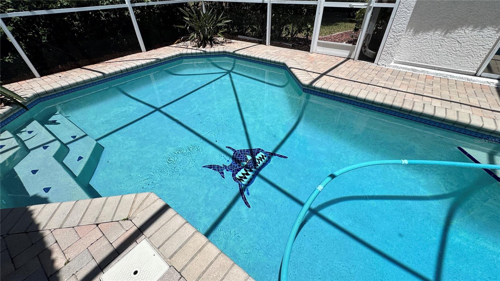 Pool & Lanai