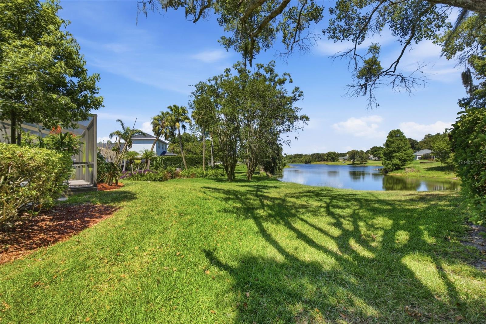 Backyard Pond