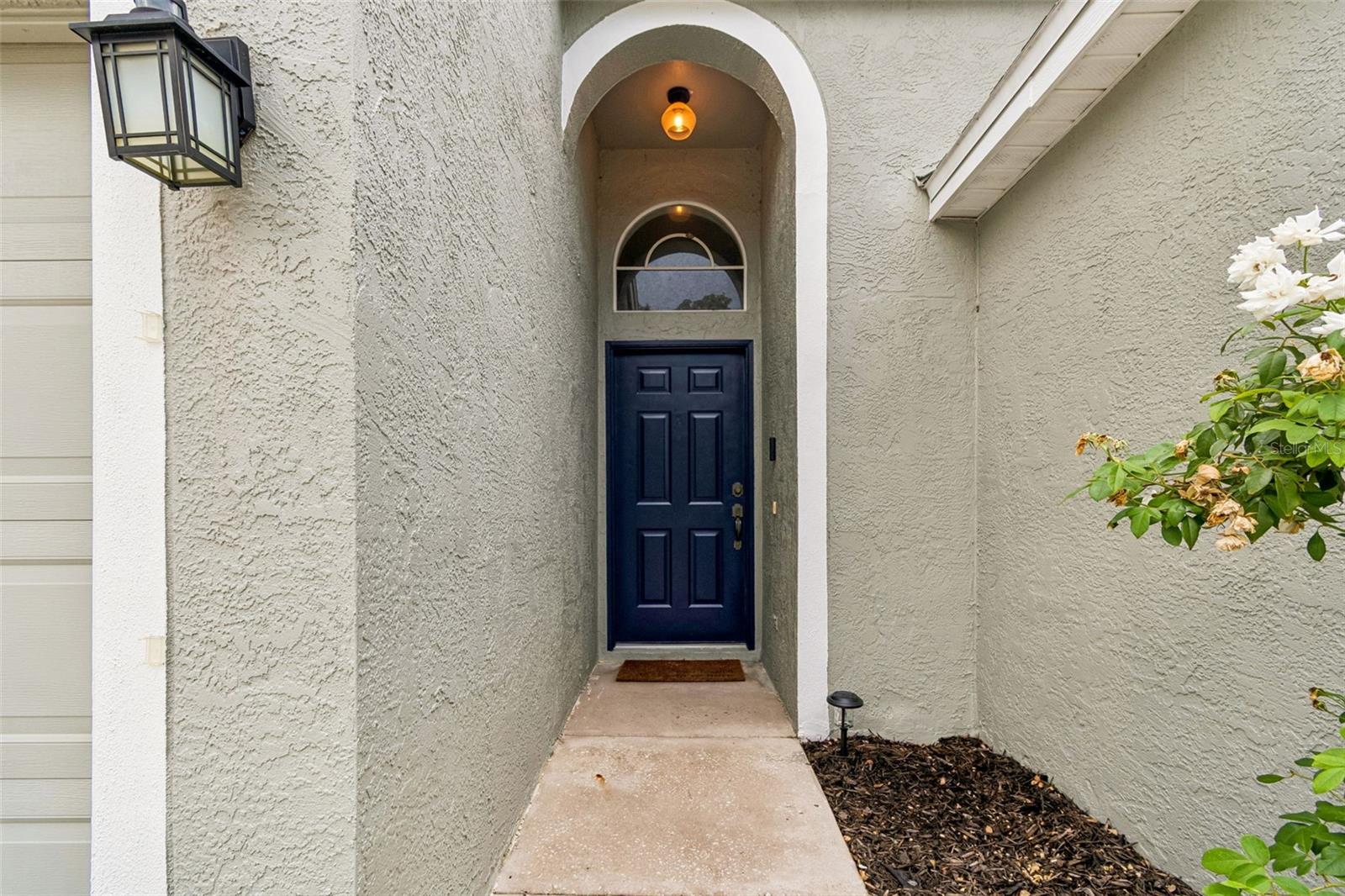 Exterior Paint 2020