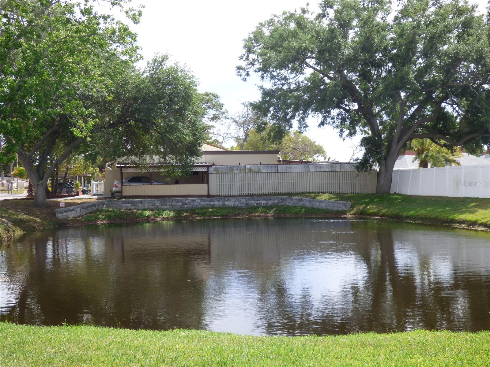 Pond