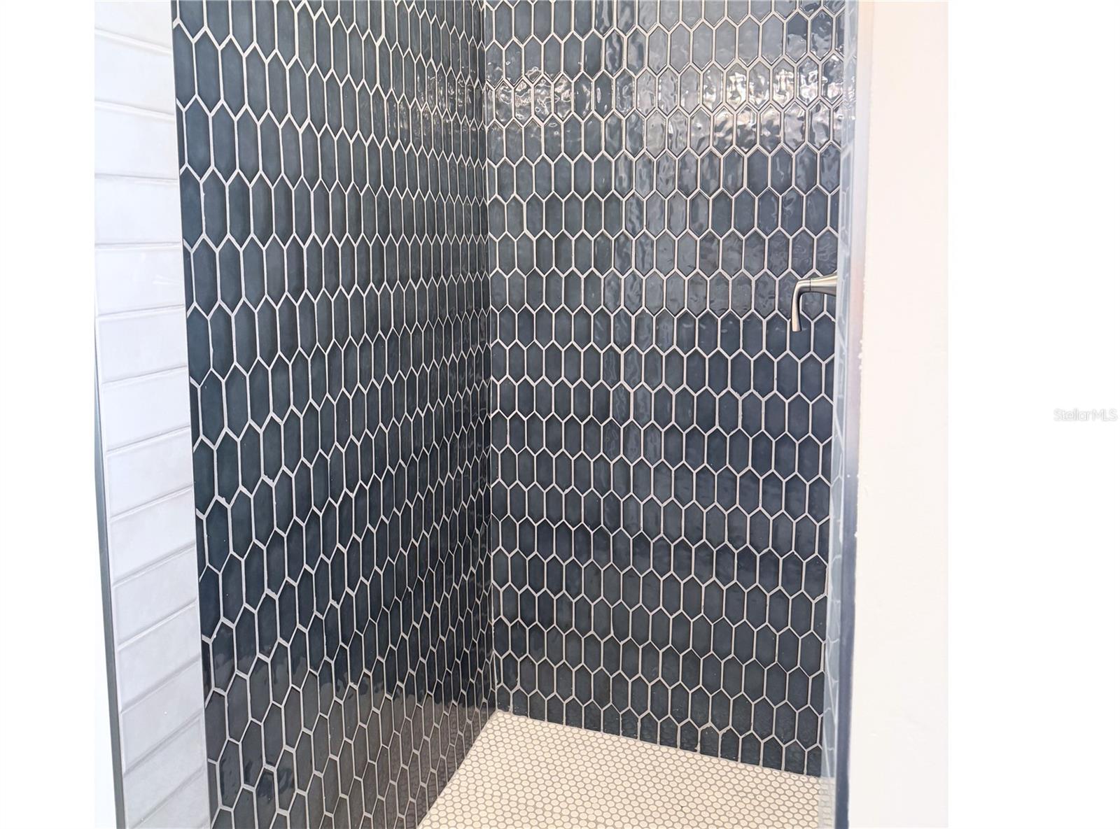 Primary Shower