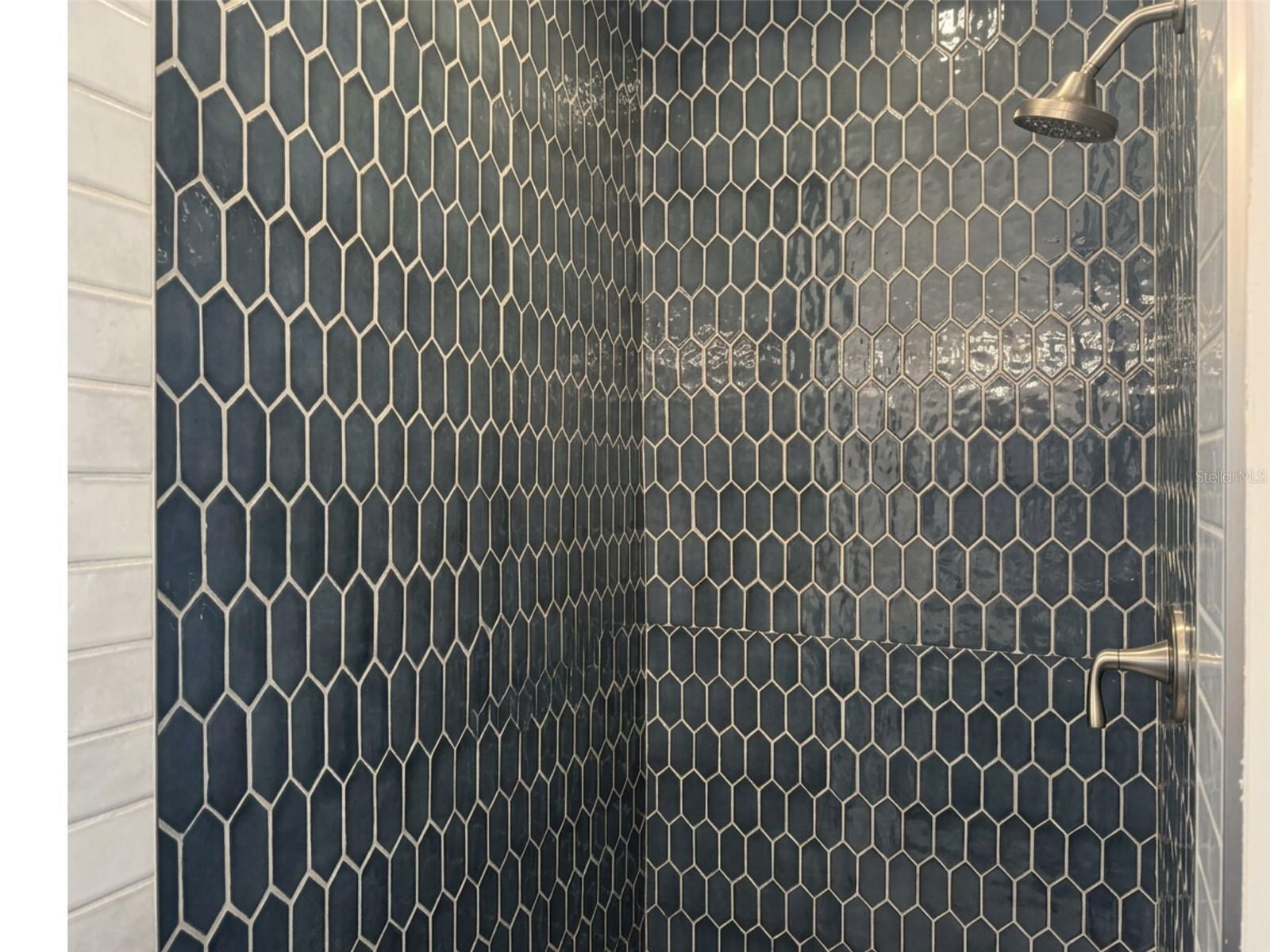Primary Shower