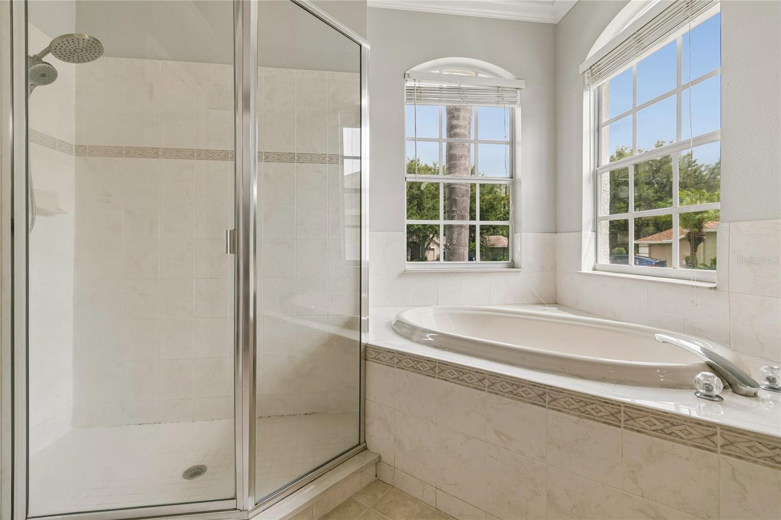 Master shower & tub