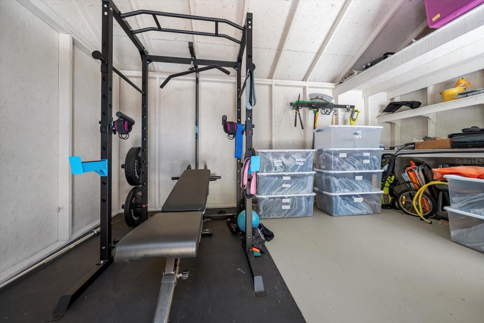 Spacious storage shed (2024)