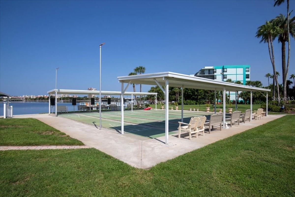 Shuffleboard