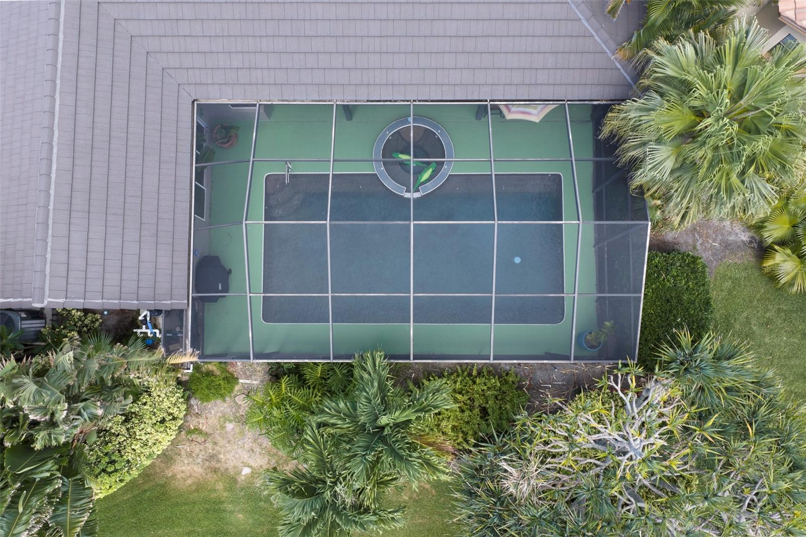 Aerial of the Pool
