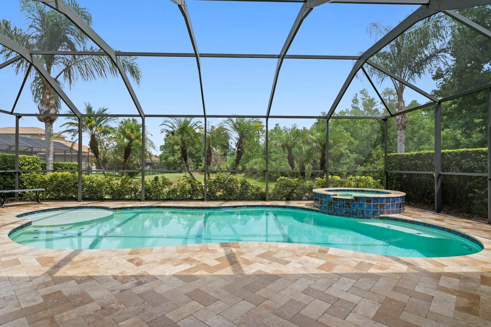 Gorgeous conservation views from the pool & spa