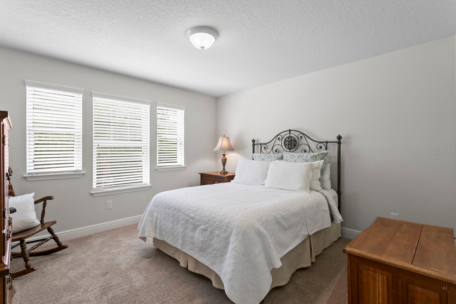 2nd Bedroom with tons of natural light